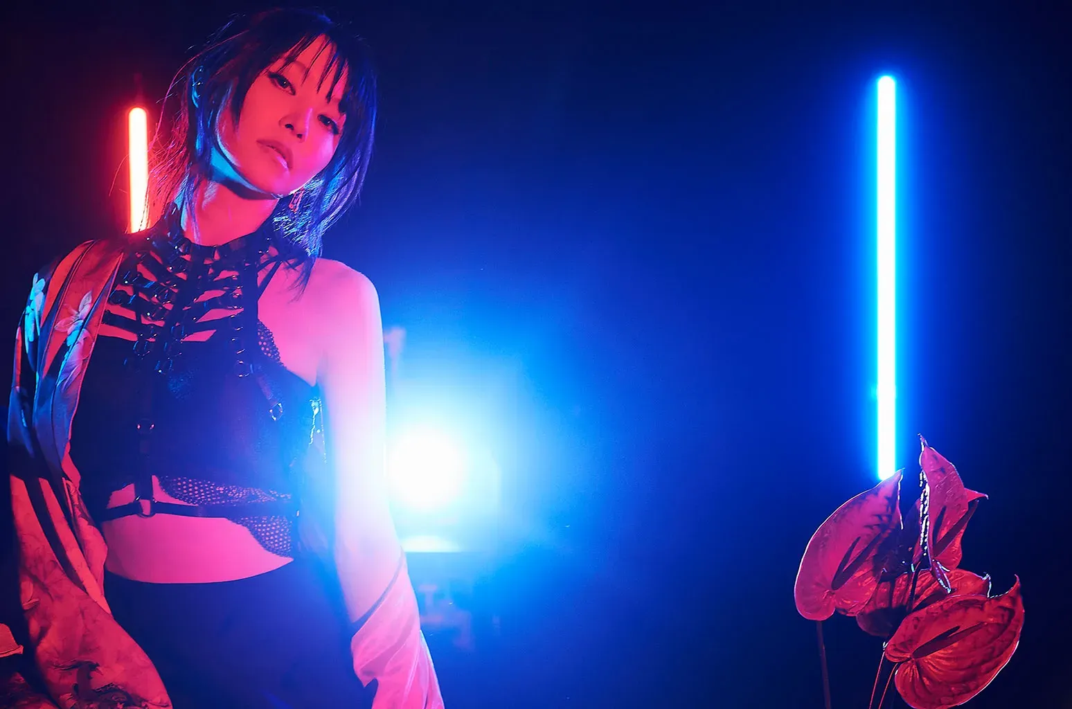 Lisa
